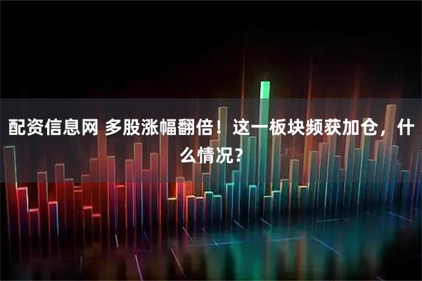 配资信息网 多股涨幅翻倍！这一板块频获加仓，什么情况？